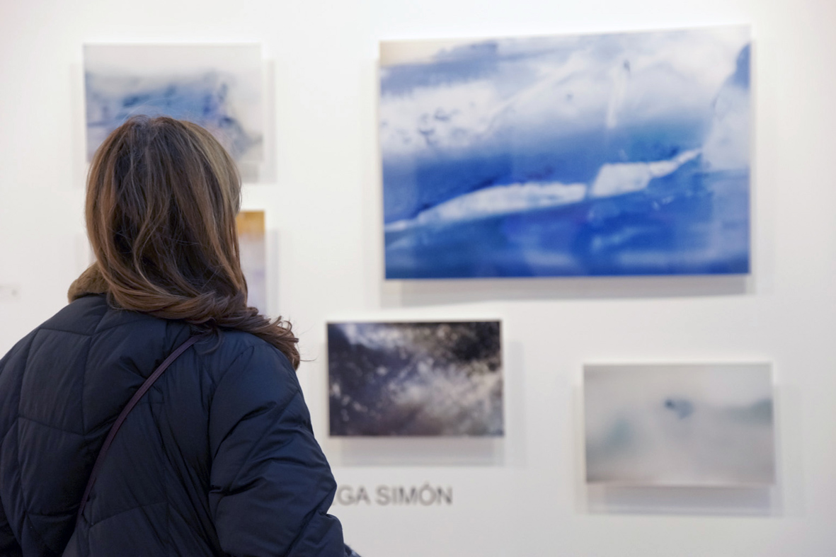 Olga Simón, Art Madrid. Art Madrid 2016, Feria Arte Contemporáneo, Contemporary Art Fair, Polar garden, Jadín polar, 100 kubik, galería, gallery