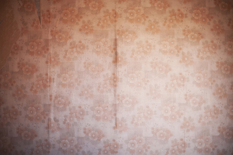 Empty house, Casa vacía, Olga Simón, art, arte, Wollstonecraft, Fernando Marías, Las Microlocas