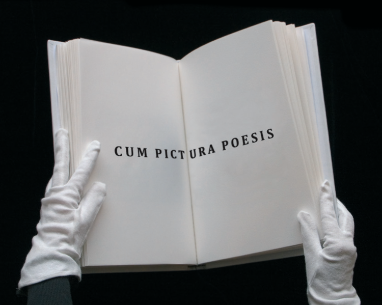 Catálogo, Catalog, Cum Pictura Poesis, Olga Simón, MEIAC, Museo Extremeño Iberoamericano, Badajoz,  Michel Hubert, Libro de artista, Exposition, Exhibition, Art, Arte, Contemporary Art, Arte Contemporáneo, Jardín polar, Polar garden