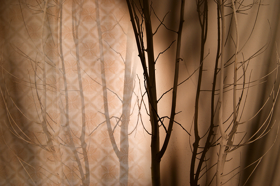 007 Olga Simón · Empty house installation · Instalación Casa vacía · Arte Contemporáneo · Contemporary art · #olgasimonvisualartist · Exhibition · Exposición · Photography · Fotografía · Antiguedades