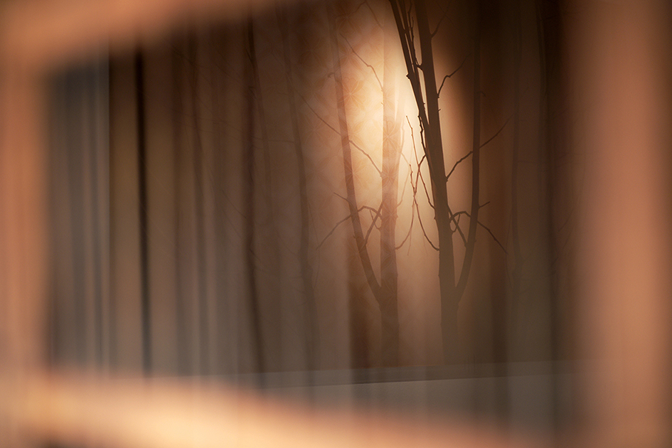 008 Olga Simón · Empty house installation · Instalación Casa vacía · Arte Contemporáneo · Contemporary art · #olgasimonvisualartist · Exhibition · Exposición · Photography · Fotografía · Antiguedades