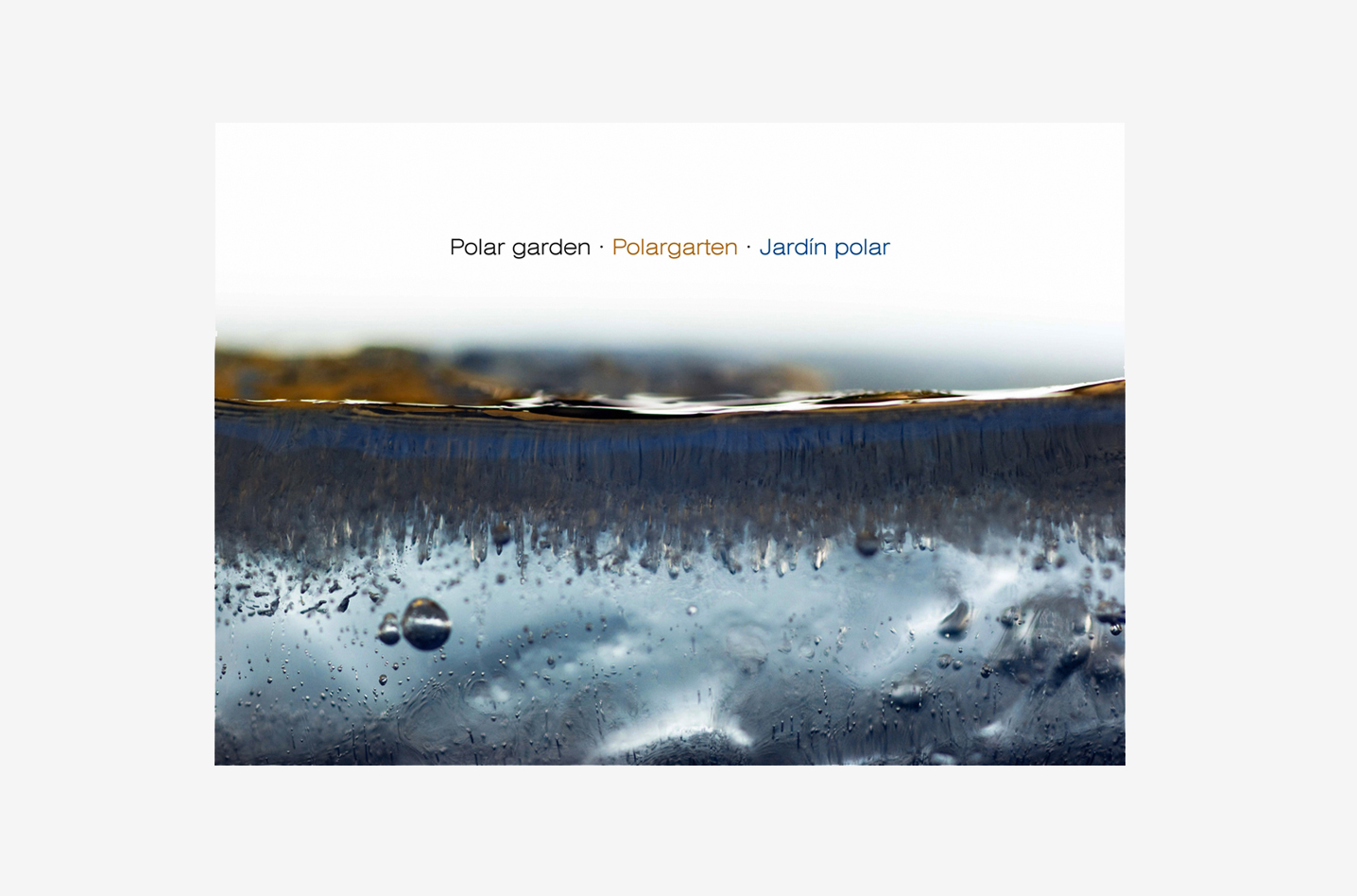 Catálogo Jardín polar - Olga Simón - Galería 100 kubik