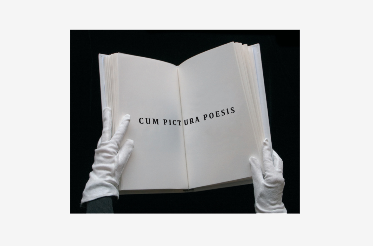 Catálogo Cum Pictura Poesis - Olga Simón - MEIAC - Museo Extremeño Iberoamericano de Arte Contemporáneo - Michel Hubert - Jardín polar - libros de artista