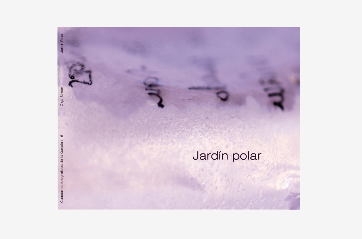Catálogo Jardín polar 2010 - Olga Simón - Sala Kursala Art Gallery - Polar garden - Polargarten - Hielo - Poesía visual
