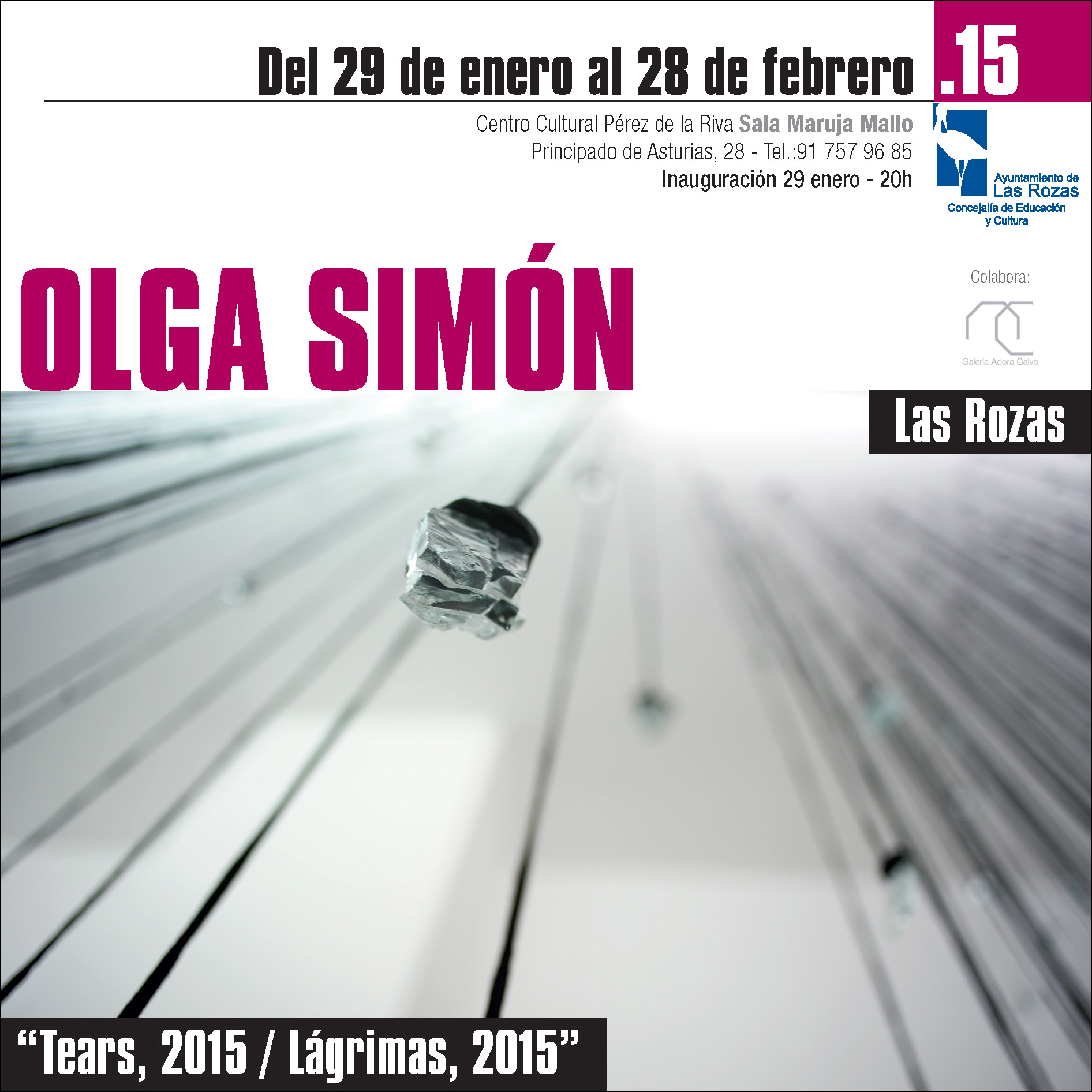 Anuncio Invitación - Exposición Tears 2015 -Lágrimas 2015 - Olga Simón - Sala Maruja Mallo - Galería Adora Calvo - Carlos Delgado Mayordomo - Ayuntamiento Las Rozas