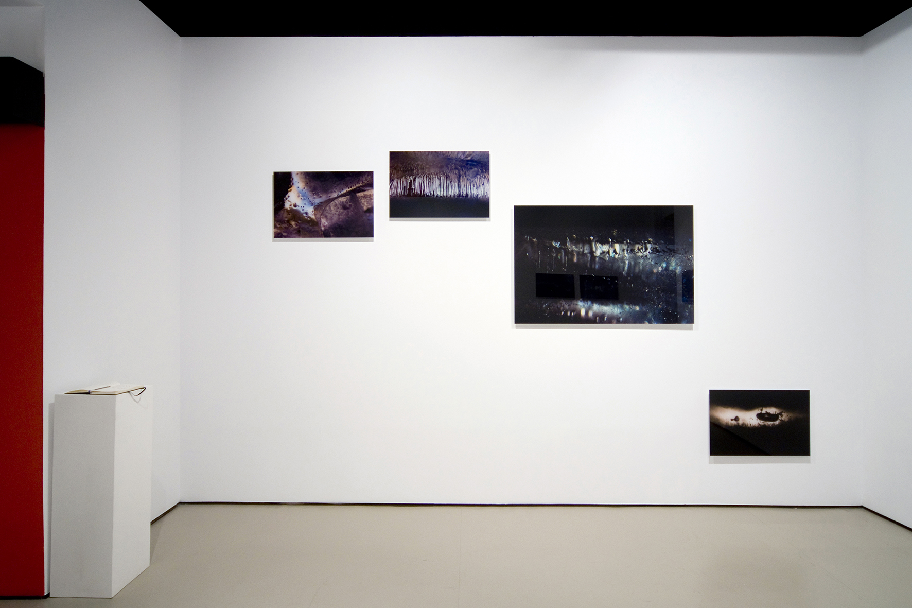 Olga Simón. Artista Visual Española. Exposición Jardín polar. Galería Astarté de Madrid. 2008. Arte Contemporáneo. Fotografía e Instalación