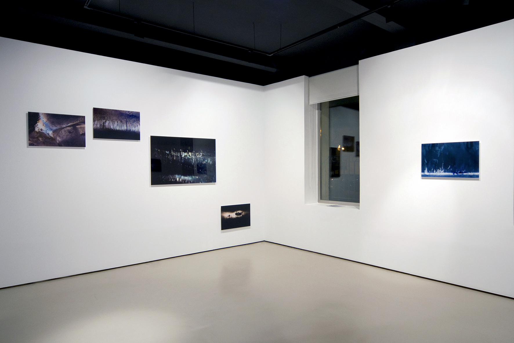 Olga Simón. Artista Visual Española. Exposición Jardín polar. Galería Astarté de Madrid. 2008. Arte Contemporáneo. Fotografía e Instalación