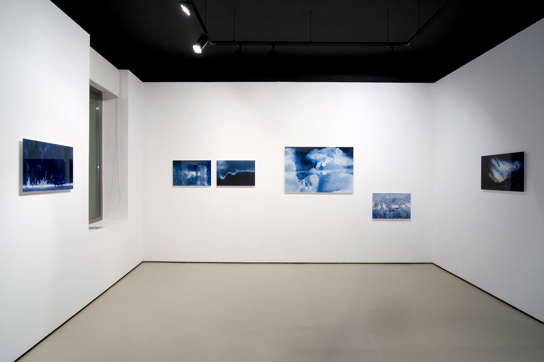 Olga Simón. Artista Visual Española. Exposición Jardín polar. Galería Astarté de Madrid. 2008. Arte Contemporáneo. Fotografía e Instalación