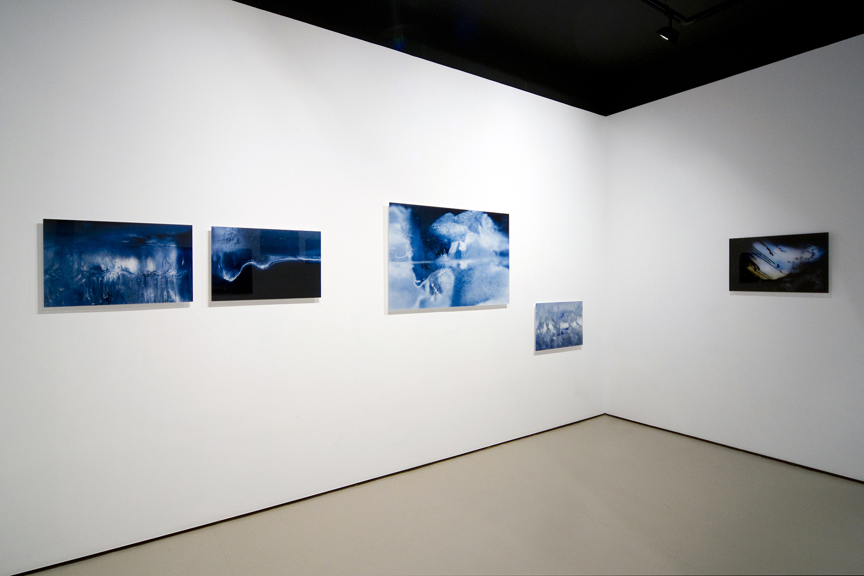 Olga Simón. Artista Visual Española. Exposición Jardín polar. Galería Astarté de Madrid. 2008. Arte Contemporáneo. Fotografía e Instalación