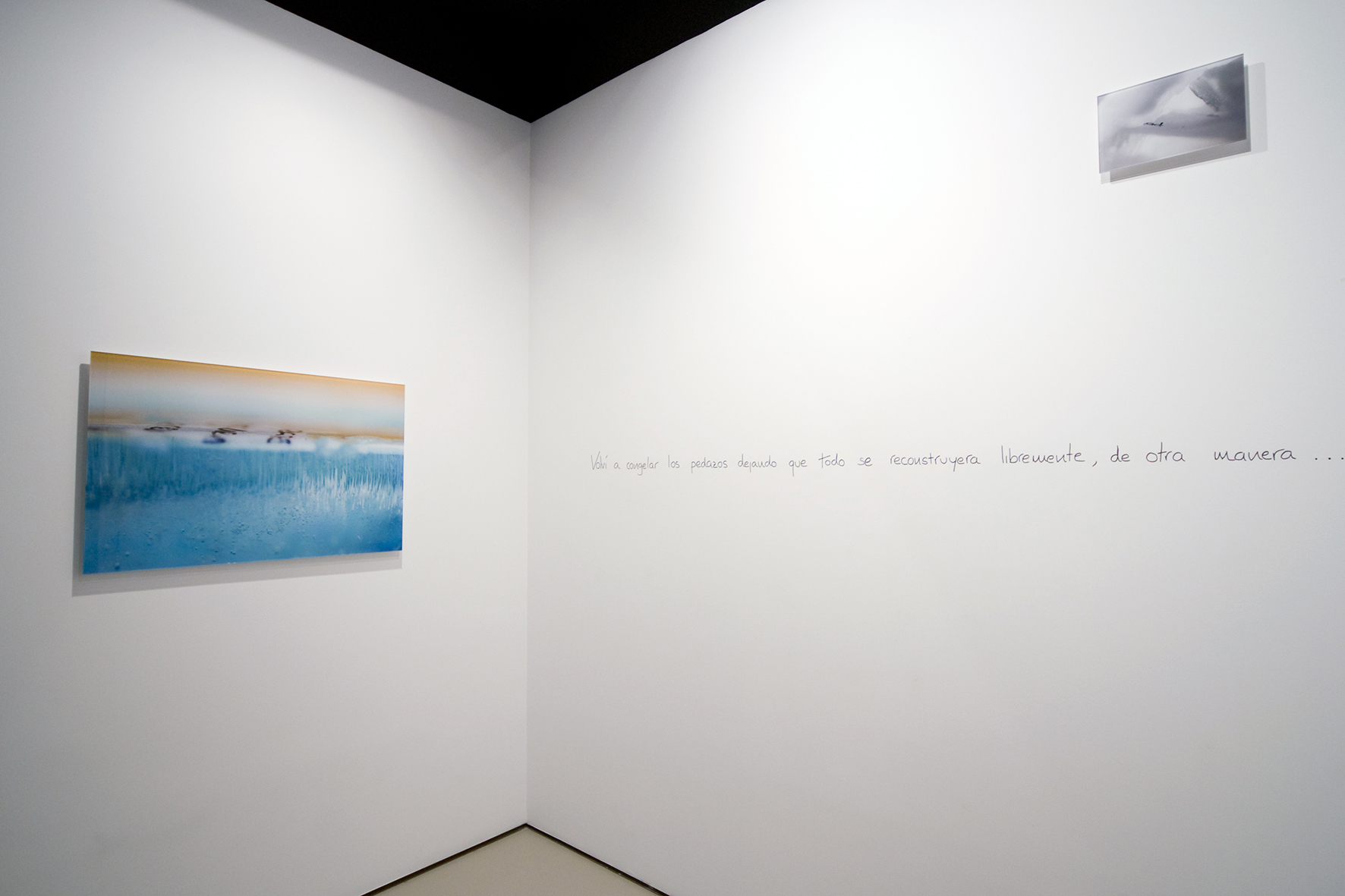 Olga Simón. Artista Visual Española. Exposición Jardín polar. Galería Astarté de Madrid. 2008. Arte Contemporáneo. Fotografía e Instalación