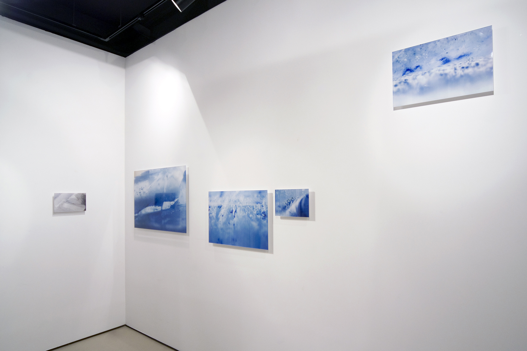 Olga Simón. Artista Visual Española. Exposición Jardín polar. Galería Astarté de Madrid. 2008. Arte Contemporáneo. Fotografía e Instalación
