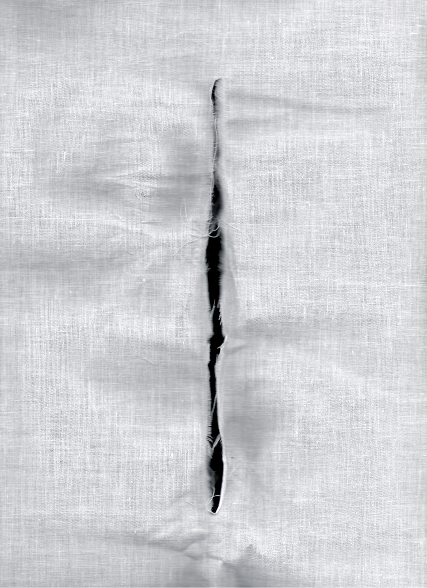 Sin título / Untitled 2011 Olga Simón